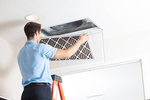 Best Air Filters and Purifiers in Purcell, OK